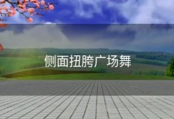侧面扭胯广场舞