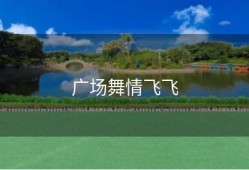 广场舞情飞飞
