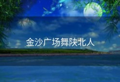 金沙广场舞陕北人