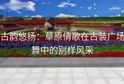 古韵悠扬：草原情歌在古装广场舞中的别样风采