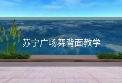 苏宁广场舞背面教学