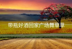带瓶好酒回家广场舞草草