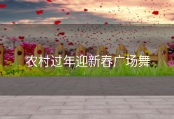 农村过年迎新春广场舞