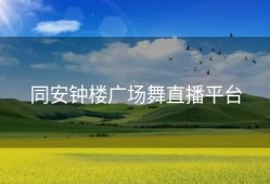 同安钟楼广场舞直播平台