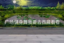 广场健身舞我要去西藏看看