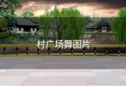 村广场舞图片