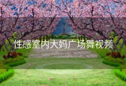 性感室内大妈广场舞视频