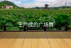 王广成的广场舞