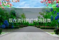 现在流行的广场踢腿舞