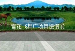 雪花飞舞广场舞慢慢爱