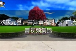 欢庆元旦，共舞幸福时光：广场舞视频集锦