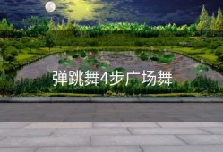 弹跳舞4步广场舞