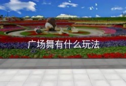广场舞有什么玩法