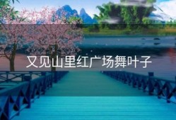又见山里红广场舞叶子
