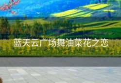 蓝天云广场舞油菜花之恋