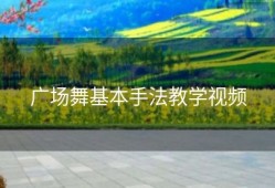 广场舞基本手法教学视频