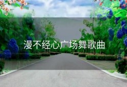 漫不经心广场舞歌曲