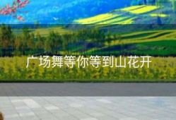 广场舞等你等到山花开