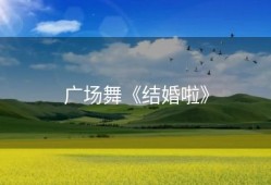 广场舞《结婚啦》