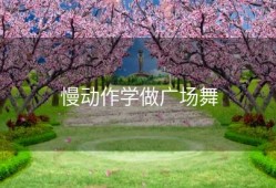 慢动作学做广场舞