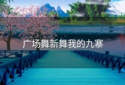 广场舞新舞我的九寨