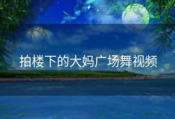 拍楼下的大妈广场舞视频