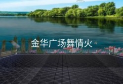 金华广场舞情火