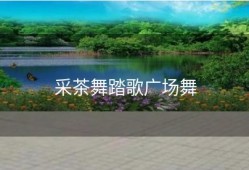 采茶舞踏歌广场舞