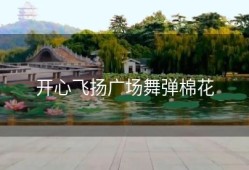 开心飞扬广场舞弹棉花