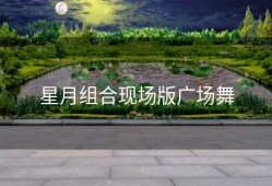 星月组合现场版广场舞
