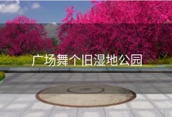 广场舞个旧湿地公园