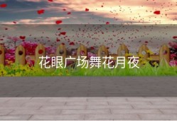 花眼广场舞花月夜