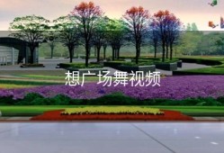 想广场舞视频