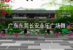 广东东莞长安永乐广场舞