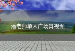 潘老师单人广场舞视频