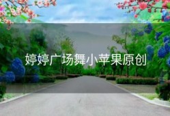 婷婷广场舞小苹果原创