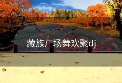 藏族广场舞欢聚dj