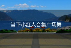 当下小红人合集广场舞