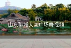 山东聊城大众广场舞视频