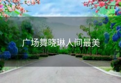 广场舞晓琳人间最美