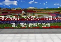 夜之光映衬下的双人广场舞水兵舞，舞动青春与热情
