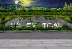 思念一年又一年广场舞