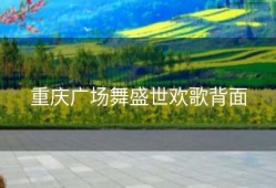 重庆广场舞盛世欢歌背面