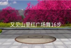 又见山里红广场舞16步