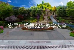 农民广场舞32步教学大全