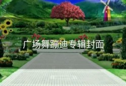 广场舞蹦迪专辑封面