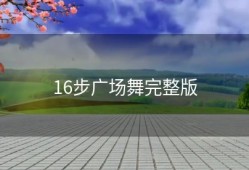 16步广场舞完整版