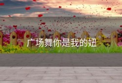 广场舞你是我的妞