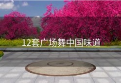 12套广场舞中国味道