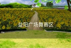 益阳广场舞赛区